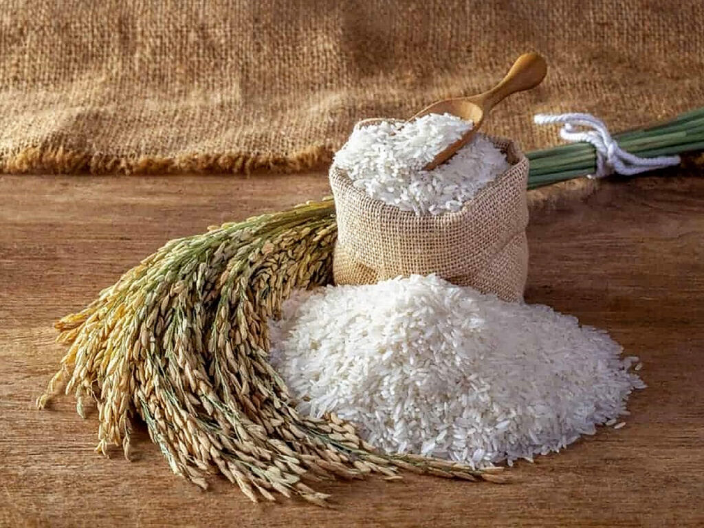 برنج هاشمی بهترین برنج رشت می باشد.