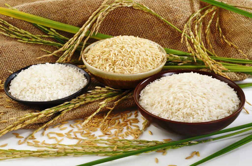 تاثیر برنج بر گوارش و ویژگی های آن